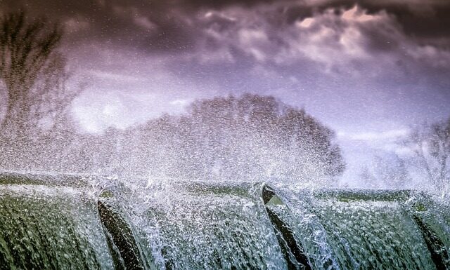 Czy można pryskać odżywkami w dzień?