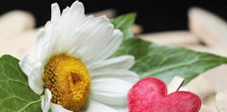 Jak sprawdzić zacisk hamulcowy?