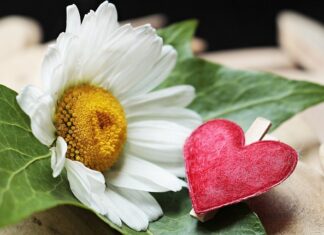 Jak sprawdzić zacisk hamulcowy?