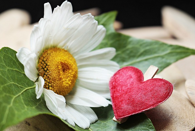 Jak sprawdzić zacisk hamulcowy? Jak sprawdzić zacisk hamulcowy?