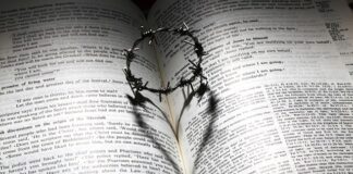 Czy AdBlue jest obowiązkowe?