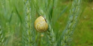 Jak uszczelnić wydech?