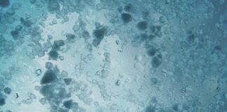 Jak załatać dziurę w szybie?