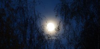 Co lepsze moment czy moc?