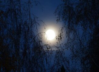 Co lepsze moment czy moc? Co lepsze moment czy moc?