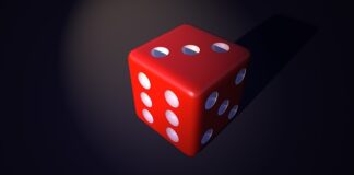 Co to jest sworzeń zwrotnicy?