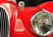 Jakie marki należą do psa? Jakie marki należą do psa?