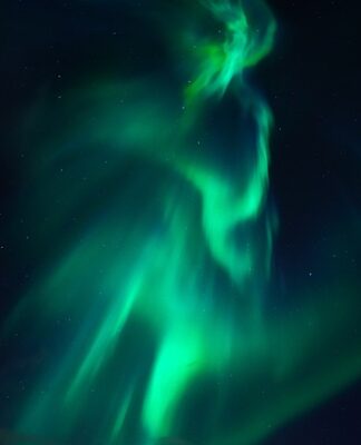 Jaka roślina ma najwięcej azotu?