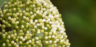 Jak Wprasować tuleje wahacza bez prasy?