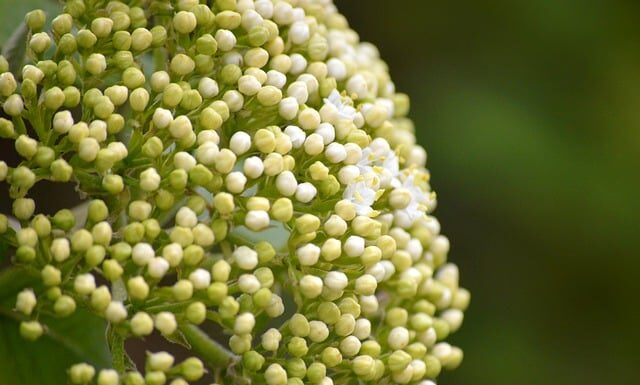 Jak Wprasować tuleje wahacza bez prasy?