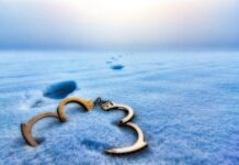 Czym pomalować aluminiowe zaciski hamulcowe?