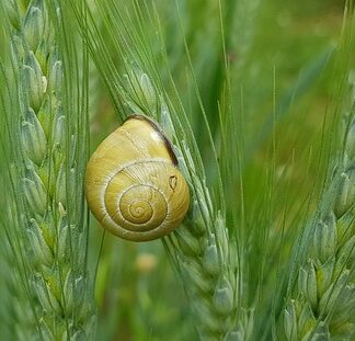 Czym uszczelnić układ wydechowy?