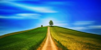 Czy chodzenie z nożem jest legalne?