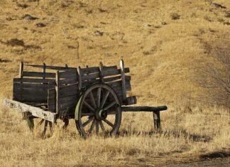 Co ile wymiana uszczelniaczy zaworowych?