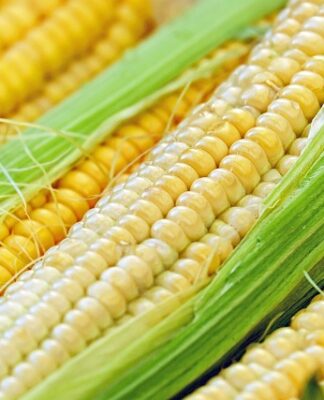 Od czego pęka tłok?