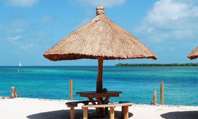 Jak sprawdzić uszczelniacze na pompowtryskach?