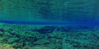 Jak sprawdzić luz na tulei wahacza?