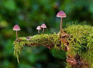 Jakie są rodzaje narzędzi?