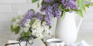 Ile kosztuje ustawienie zbieżności 2023?