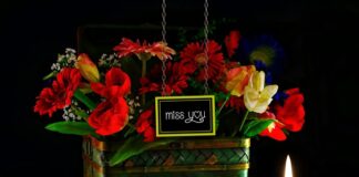 Ile pali nissan navara diesel 25?