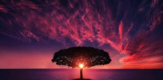 Co oznacza słońce w klimatyzacji?