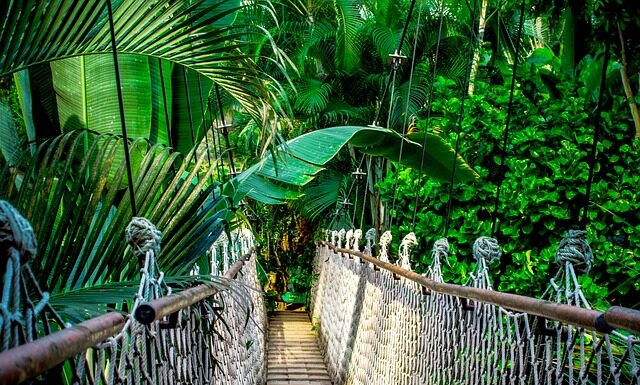 Ile trwa kurs na F-gazy?