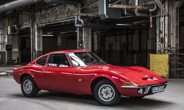 Czy Opel należy do psa?