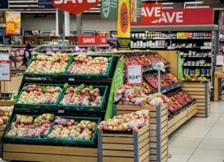 Na co zwrócić uwagę przy zakupie nawigacji samochodowej?