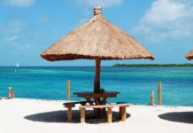 Za co odpowiadają uszczelniacze zaworowe? Za co odpowiadają uszczelniacze zaworowe?