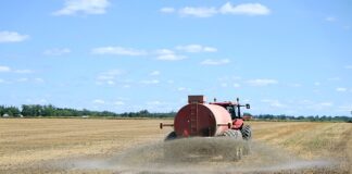 Czy nadmiar nawozu jest szkodliwy?