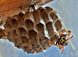 Jak dotrzeć gniazda zaworowe?