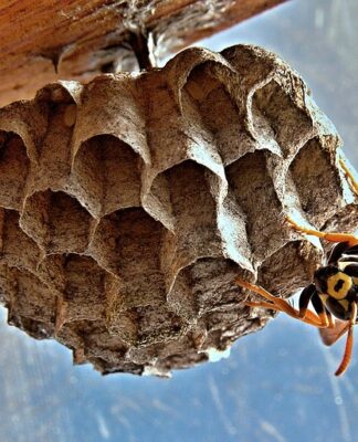 Jak dotrzeć gniazda zaworowe? Jak dotrzeć gniazda zaworowe?