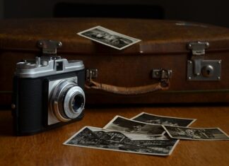 Kiedy robić zdjęcia obornika?