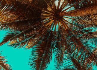 Co ile przybijać łaty?