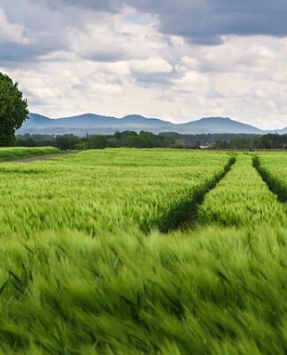 Co trzeba zrobić po wymianie kół?