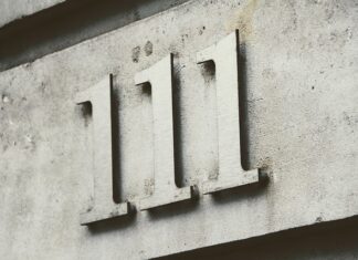 Jak sprawdzić numer licencji AutoMapa?