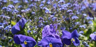 Co ile wymieniać wahacze w samochodzie?