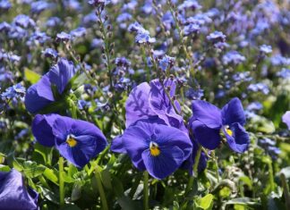 Co ile wymieniać wahacze w samochodzie?