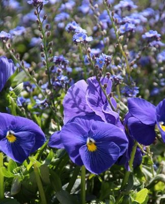 Co ile wymieniać wahacze w samochodzie?