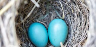 Jak naprawić gniazdo zaworowe?