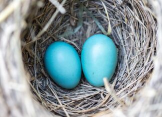 Jak naprawić gniazdo zaworowe?