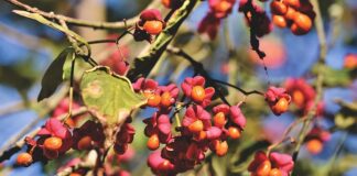 Gdzie stosowane są tuleje mokre?