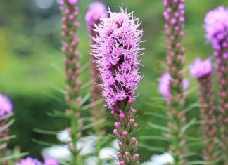 Co daje wycięcie środkowego tłumika?