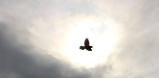 Ile daje przelot w motocyklu?