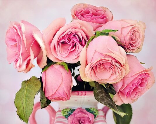 Czym się rożni W5W od WY5W?