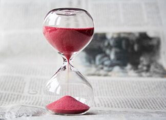 Po jakim czasie widać efekty nawozu? Po jakim czasie widać efekty nawozu?