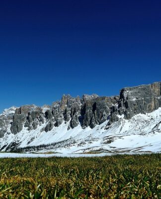 Jak długo działa nawóz?