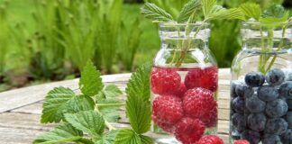 Co lepsze na wiosnę saletra czy saletrzak?