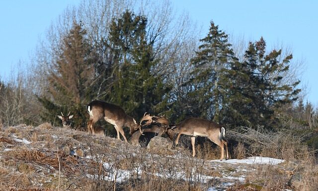 Ile decybeli może mieć wydech w motocyklu?