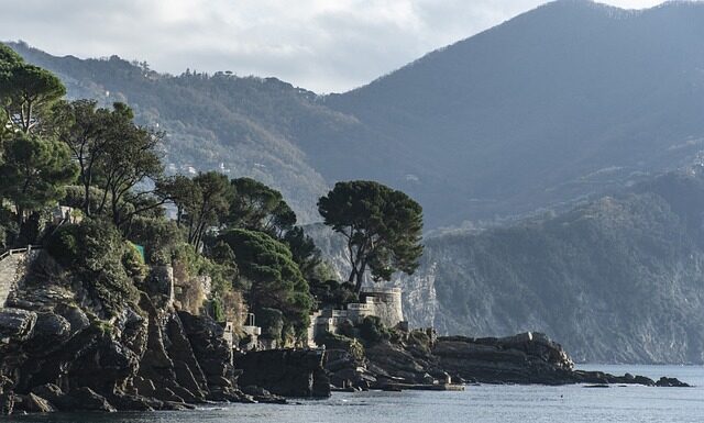 Ile kosztuje wymiana przedniej szyby?